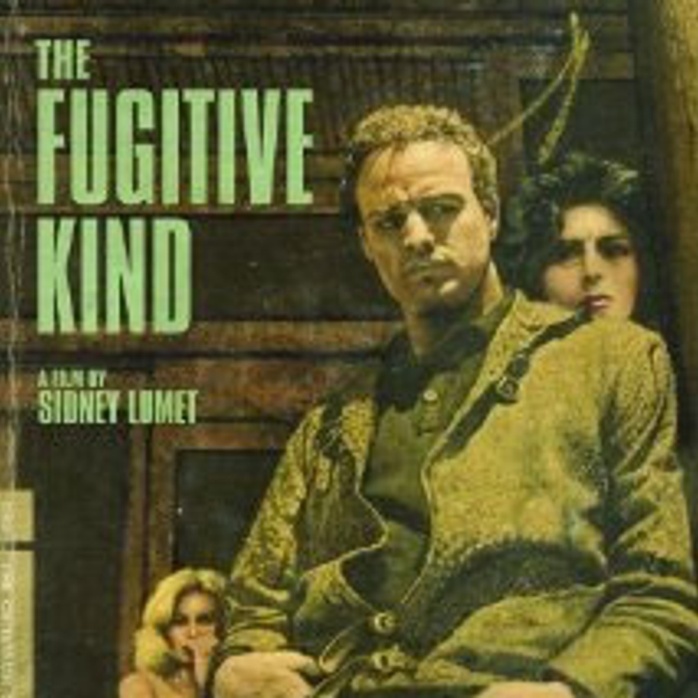 Image du film The Fugitive Kind