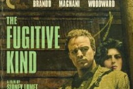 Image du film The Fugitive Kind