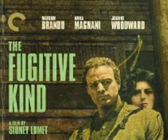 Image du film The Fugitive Kind