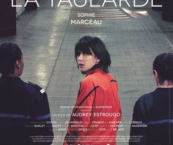 Affiche du film La taraude