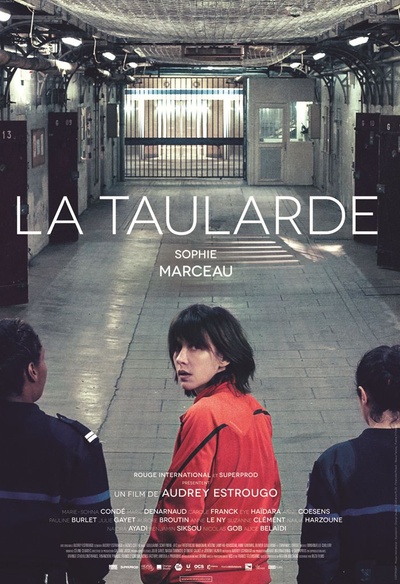 Affiche du film La taraude