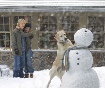 Scène du film Marley and Me