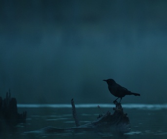 Image du film Murmures