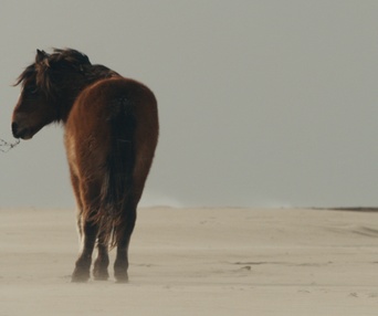 Image du film Murmures
