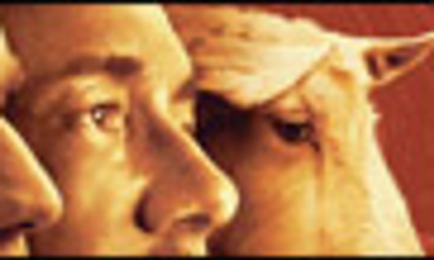 Affiche en français du film Les hommes qui regardent les chèvres