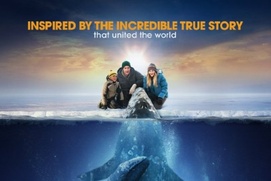 Affiche du film Big Miracle
