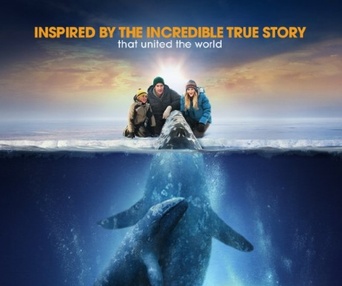 Affiche du film Big Miracle