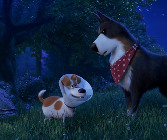 Une scène du film The Secret Life Of Pets 2