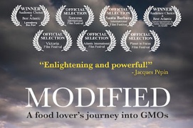 Affiche du film Modified