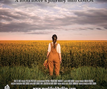 Affiche du film Modified
