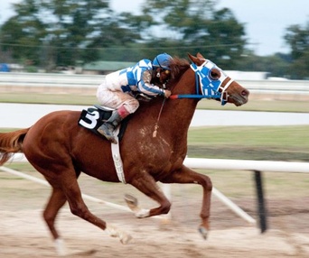 Une scène du film Secretariat