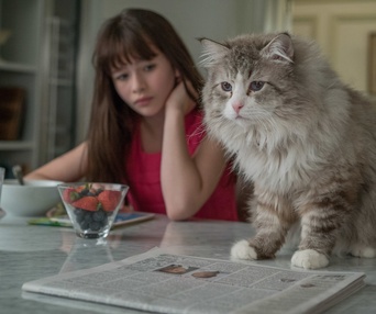 Une scène du film Nine Lives
