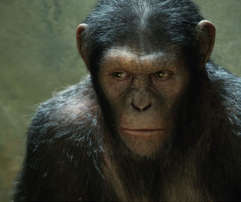 Une scène du film Rise of the Planet of the Apes
