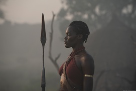 Image du film The Woman King