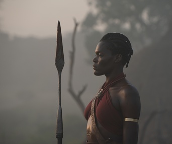Image du film The Woman King