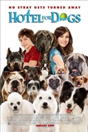 Affiche du film Palace pour chiens