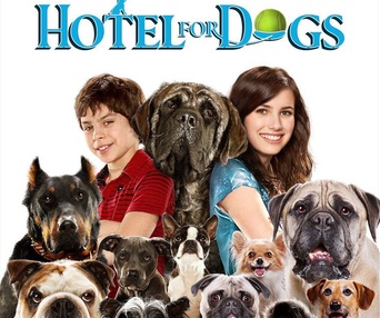 Affiche du film Hotel for Dogs