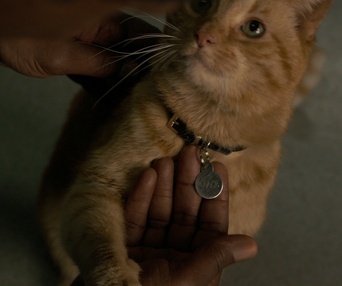 Une scène du film Captain Marvel