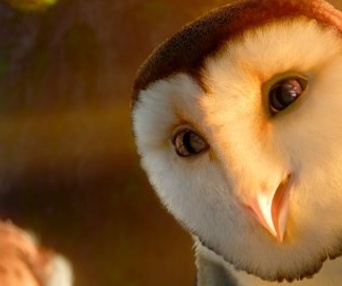 Une scène du film Legend of the Guardians: The Owls of Ga'Hoole