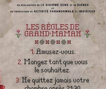Affiche du film La visite