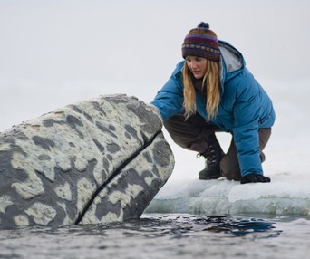 Une scène du film Big Miracle