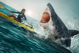 Affiche du film The Reef: Stalked Affiche du film The Reef: Stalked