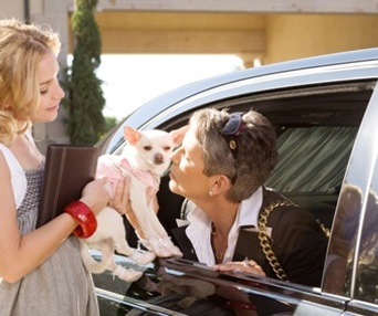 Scène du film Beverly Hills Chihuahua
