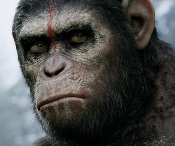 Affiche du film L'aube de la planète des singes