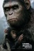 Affiche du film L'aube de la planète des singes