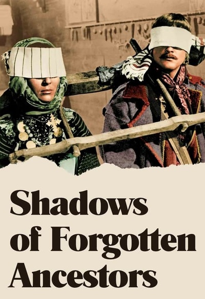 Affiche du film Shadows of Forgotten Ancestors