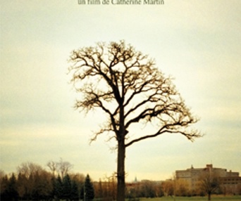Affiche du film Dans les villes