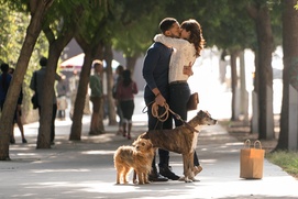 Une scène du film Dog Days Une scène du film Dog Days