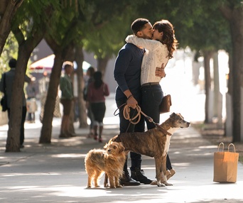 Une scène du film Dog Days