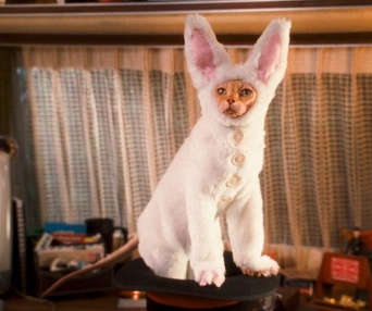 Une scène du film Cats & Dogs: The Revenge of Kitty Galore
