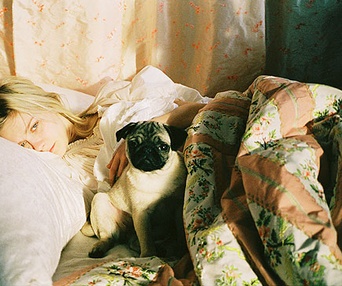 Scène du film Marie Antoinette