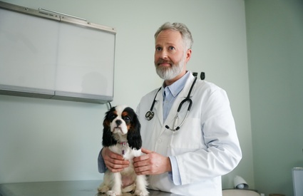 Image de l'article Cette comédienne connue tiendra un rôle neuroatypique dans la série «Temps de chien »