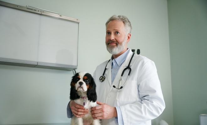 Image de l'article Cette comédienne connue tiendra un rôle neuroatypique dans la série «Temps de chien »