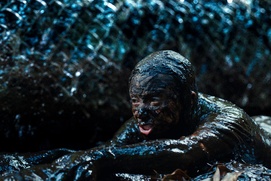 Images du film Beware Boiúna