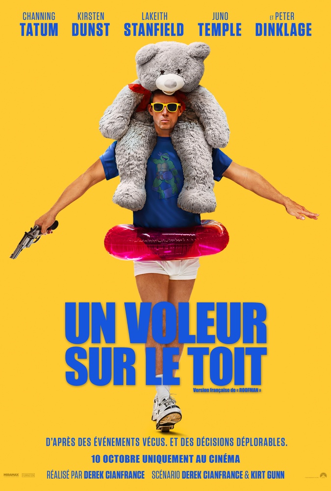 Affiche du film Un voleur sur le toit
