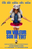 Affiche du film Un voleur sur le toit
