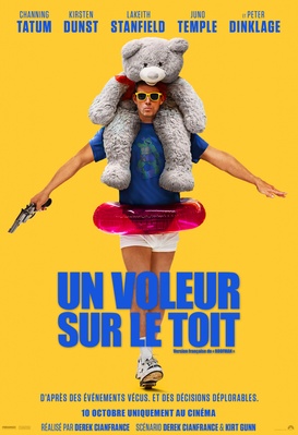 Un voleur sur le toit
