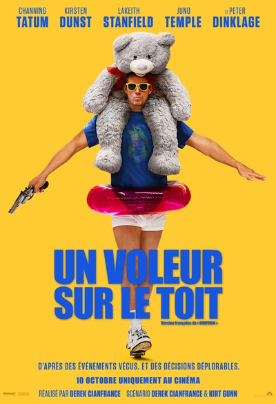 Affiche du film Un voleur sur le toit