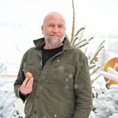 <strong>François Damiens</strong>