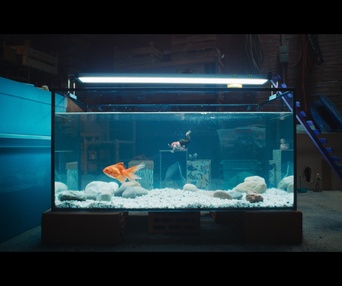 Images du film L'homme qui rétrécit