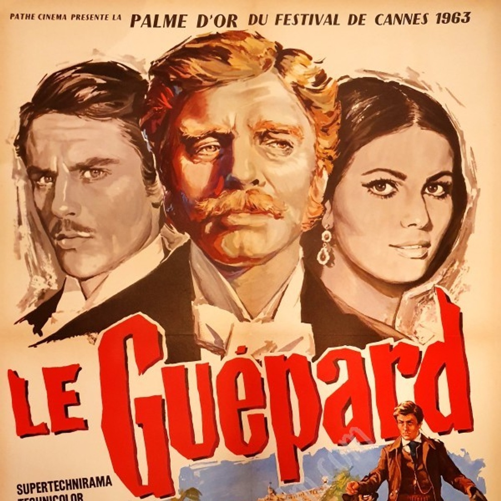 Image du film Le guépard