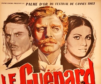 Image du film Le guépard