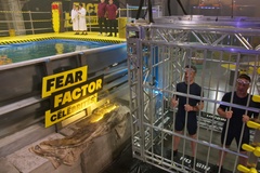 Fear Factor célébrités