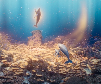 The Last Whale Singer