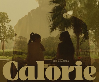 Affiche du film Calorie