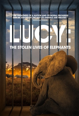 Lucy: The Stolen Lives of Elephants